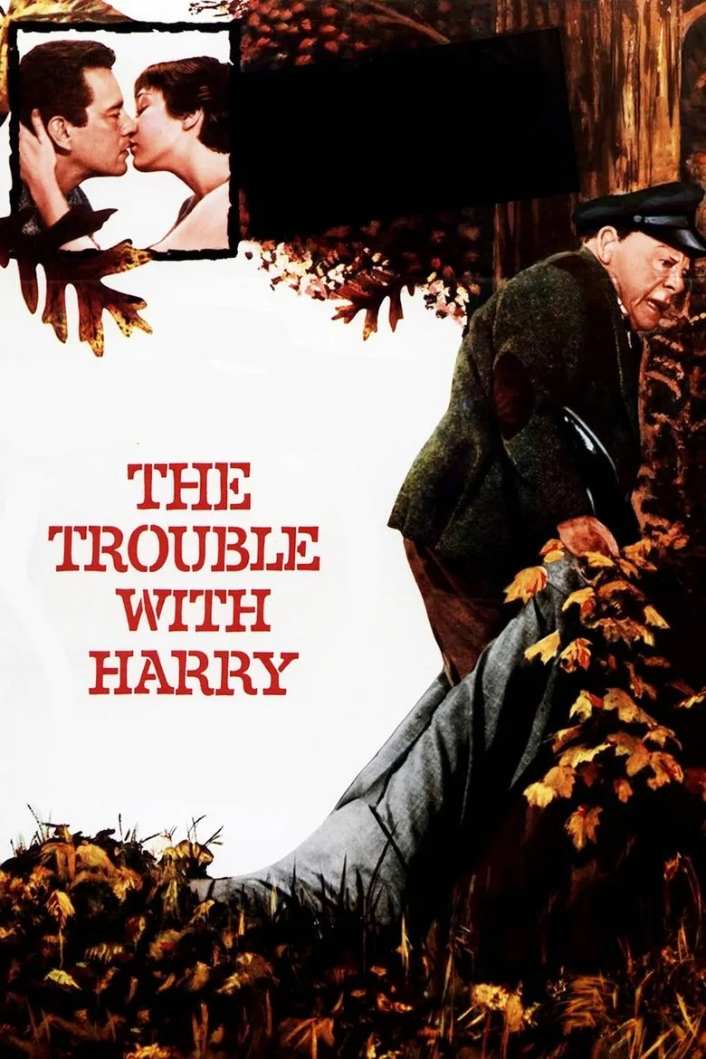 Harry'nin Derdi poster