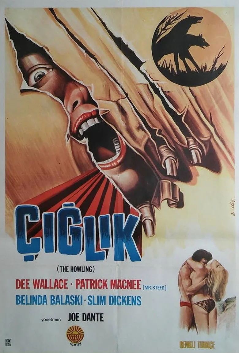 Çığlık poster