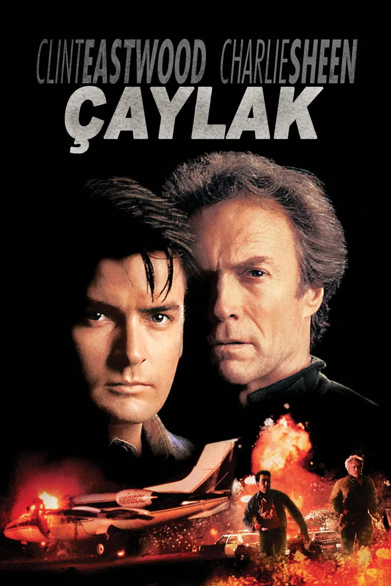 Çaylak poster