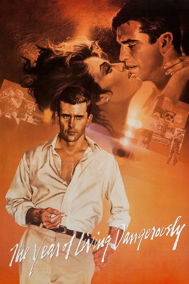 Tehlikeli Bir Yıl poster
