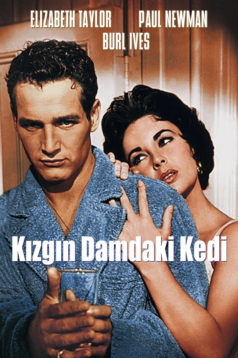 Kızgın Damdaki Kedi poster