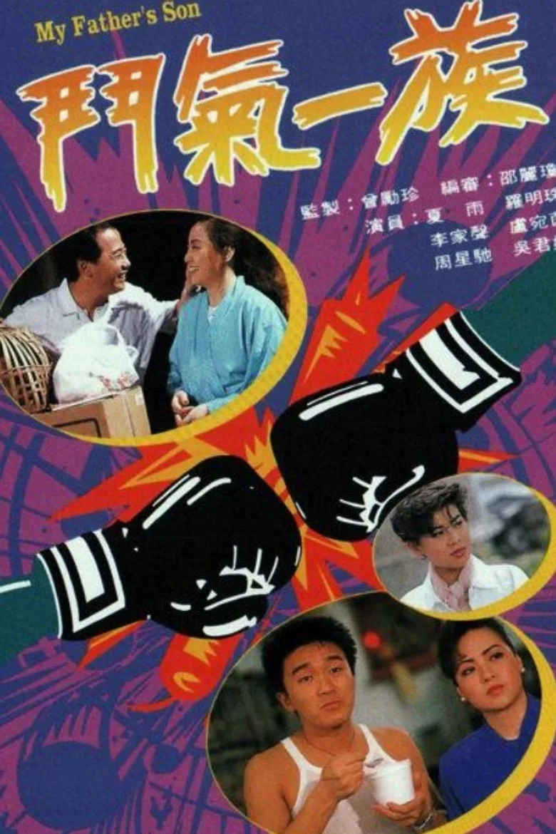 鬥氣一族 poster