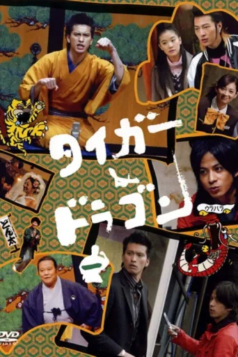 Póster de Tiger and Dragon