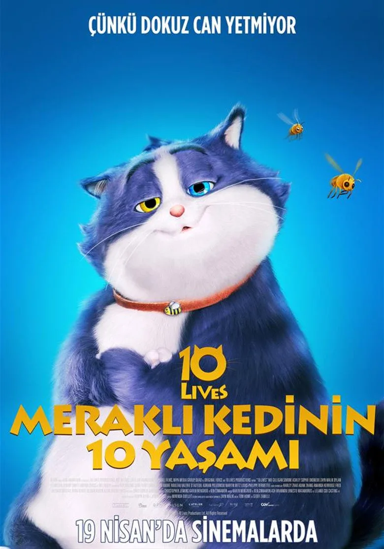Credit poster