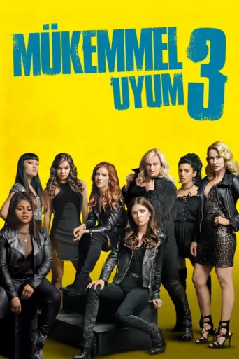Poster for Mükemmel Uyum 3