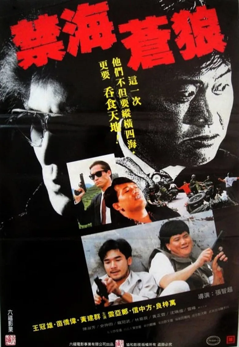 The Killer from China posteri