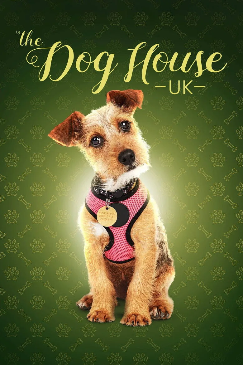 The Dog House posteri