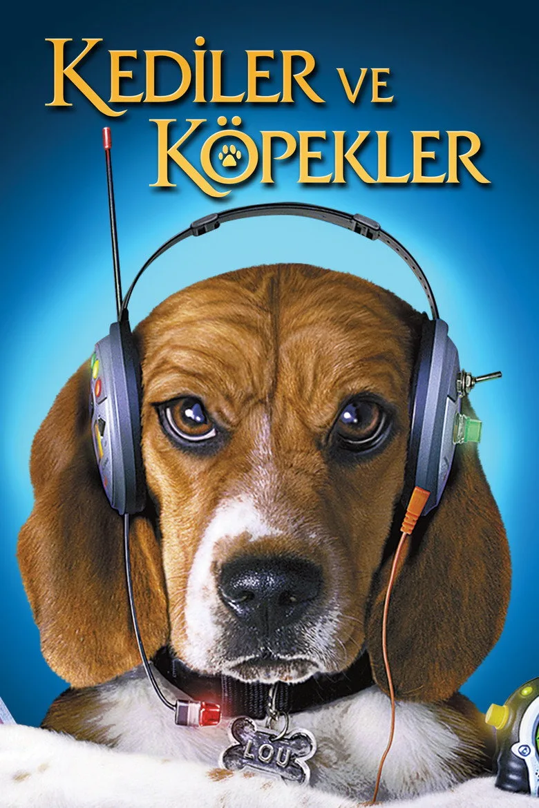 Credit poster