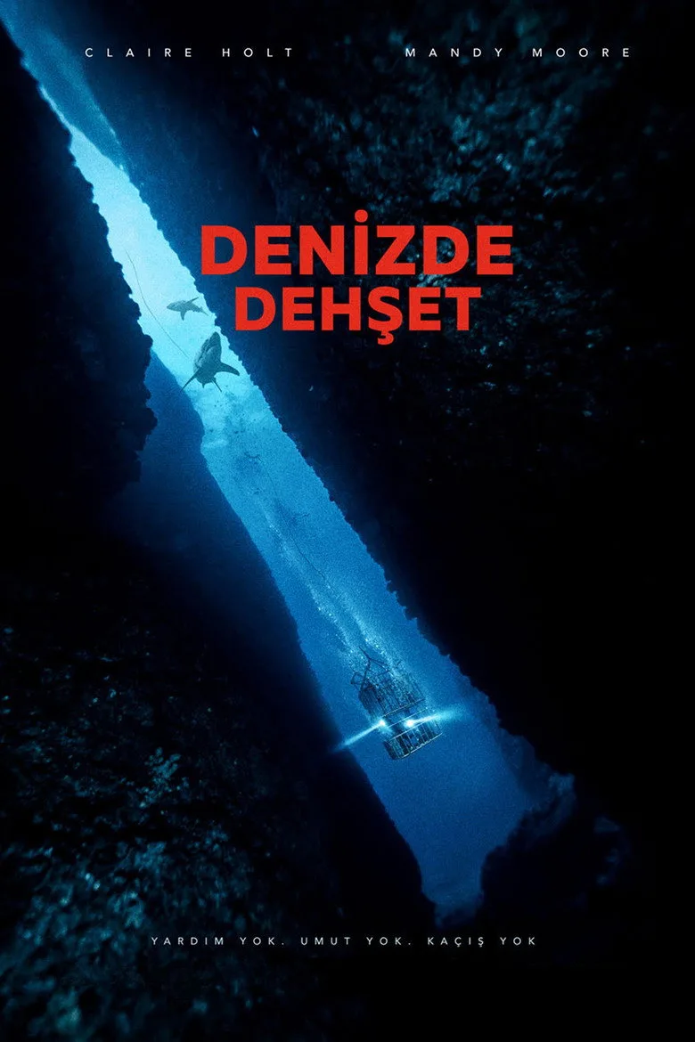 Credit poster