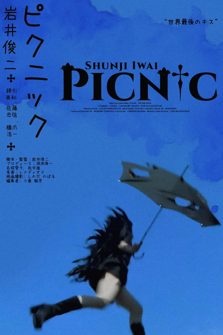 PiCNiC posteri