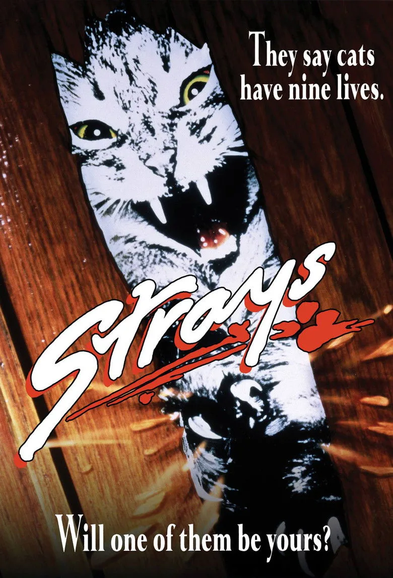 Strays posteri