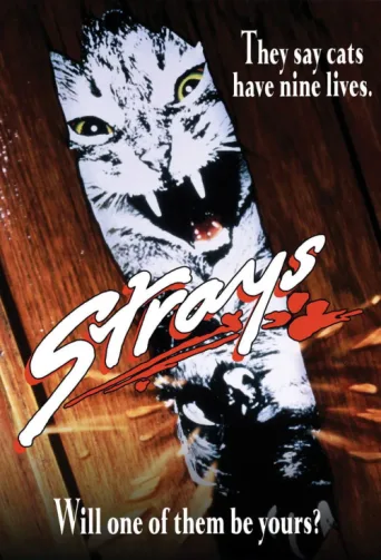 Póster de Strays