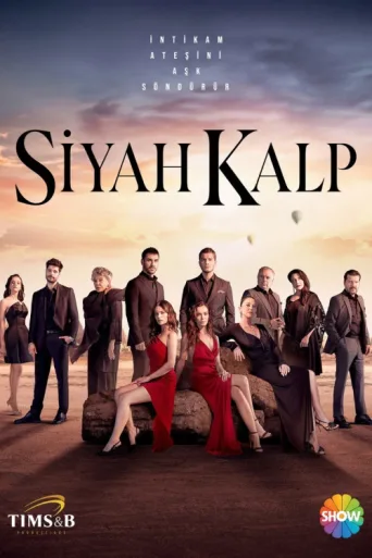 Póster de Siyah Kalp