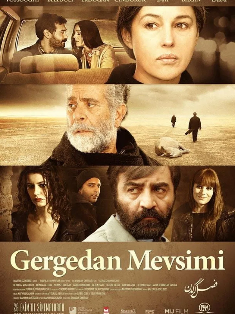 Credit poster