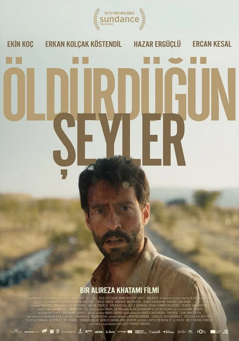Öldürdüğün Şeyler poster