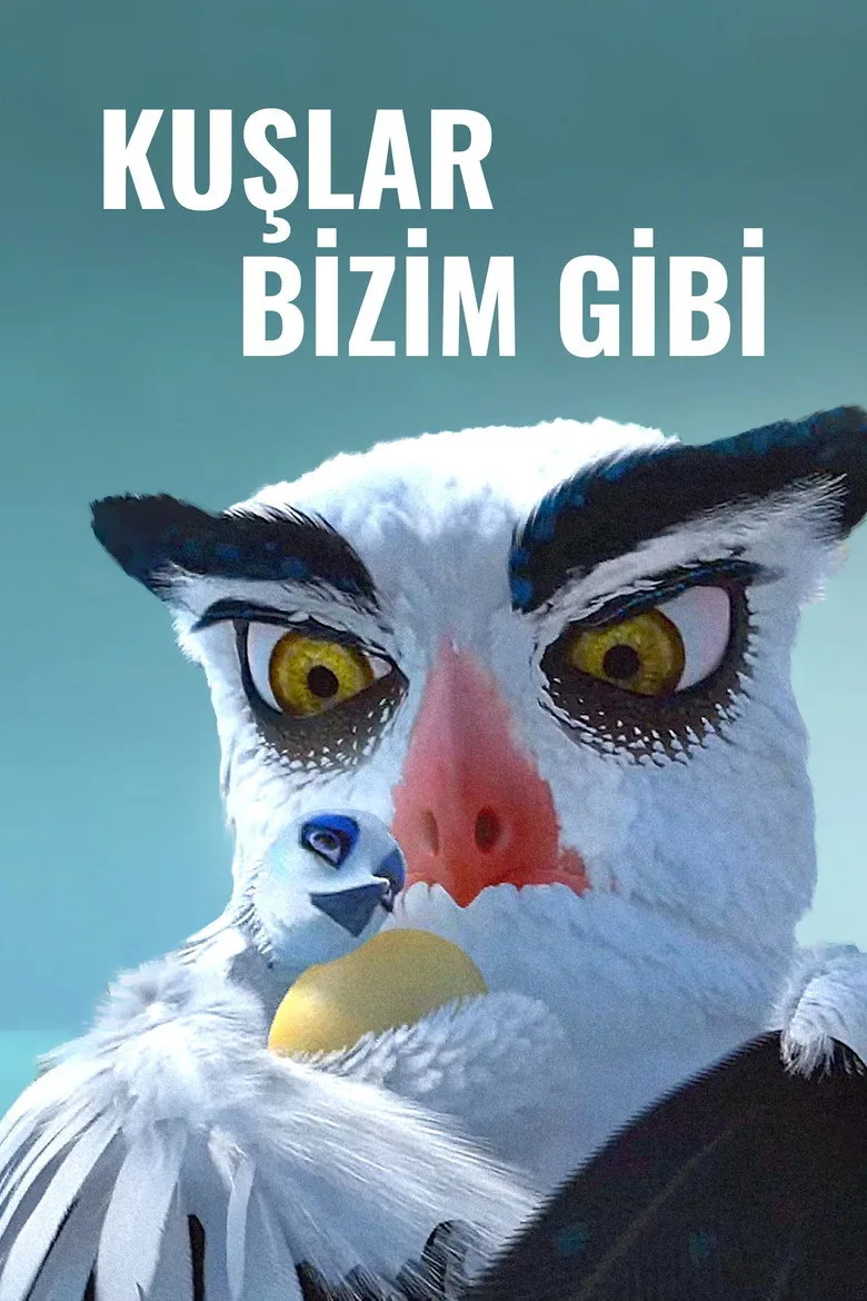 Kuşlar Bizim Gibi poster