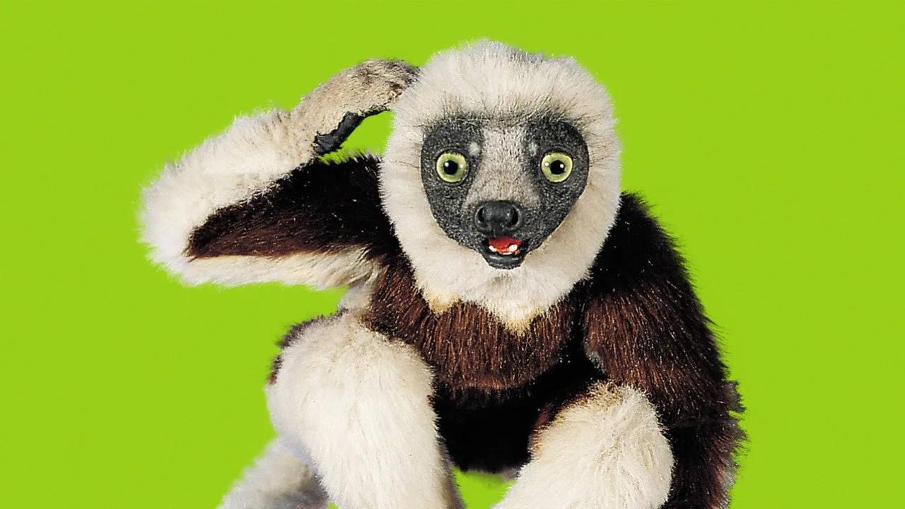 Фоновое изображение для Zoboomafoo