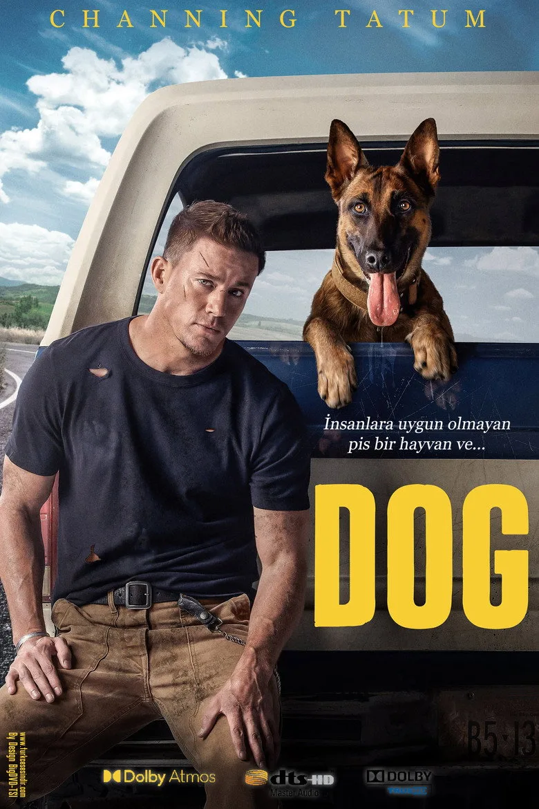 Credit poster