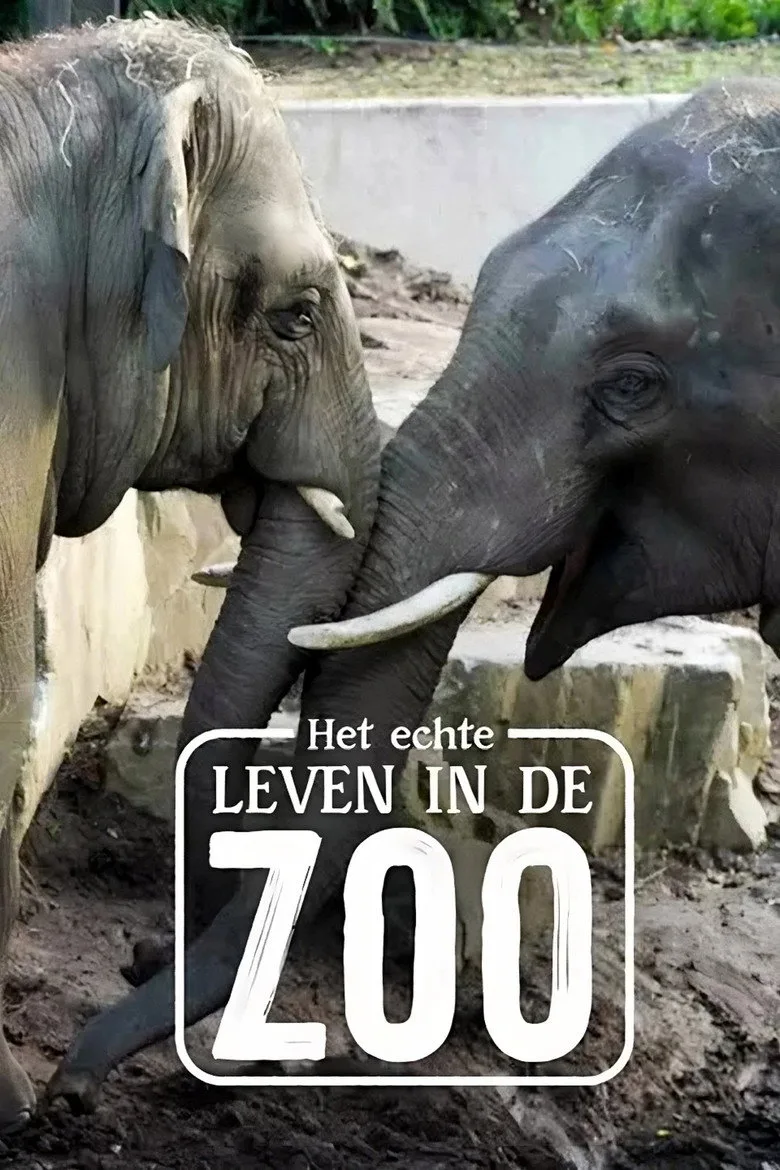 Het Echte Leven in de ZOO posteri