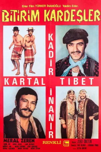 ملصق Bitirim Kardeşler