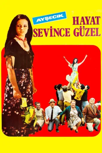 Постер Hayat Sevince Güzel