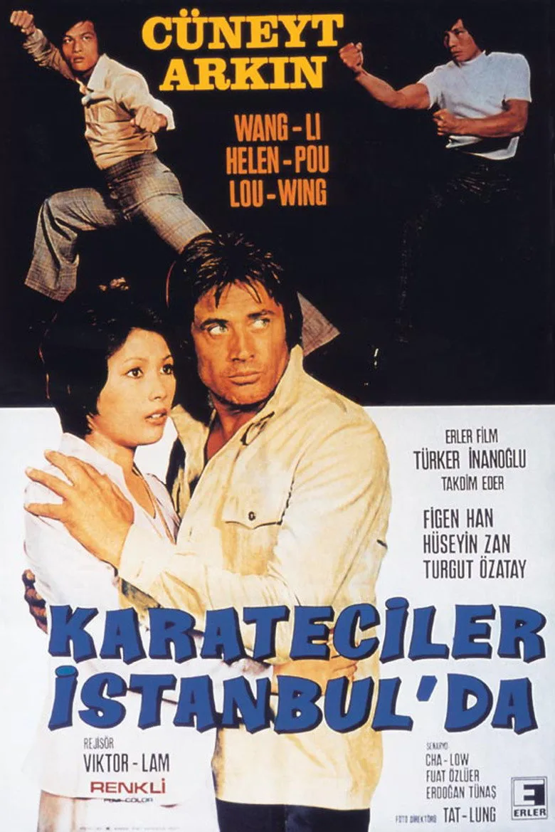 Karateciler İstanbul'da posteri