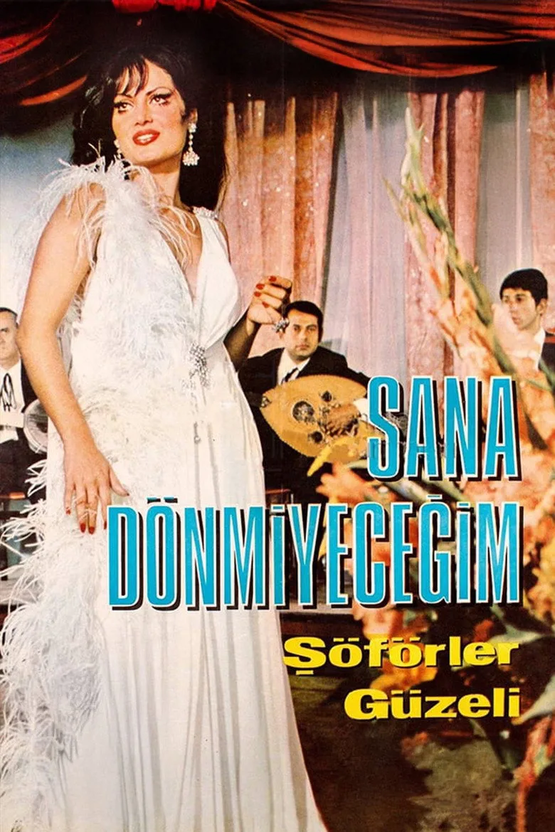 Sana Dönmeyeceğim posteri