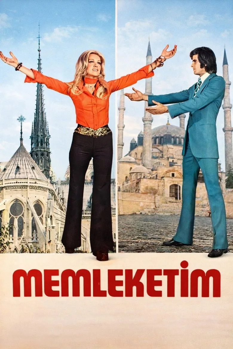 Memleketim posteri