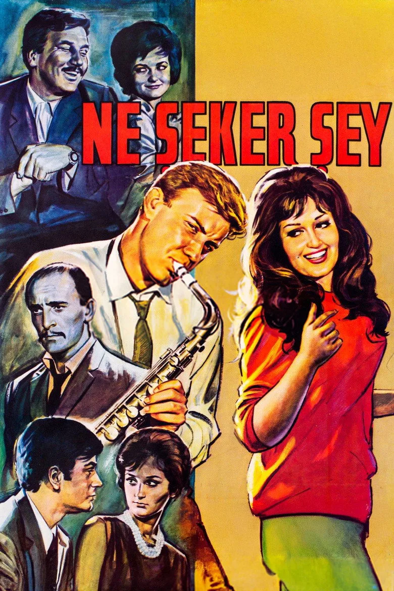 Ne Şeker Şey posteri