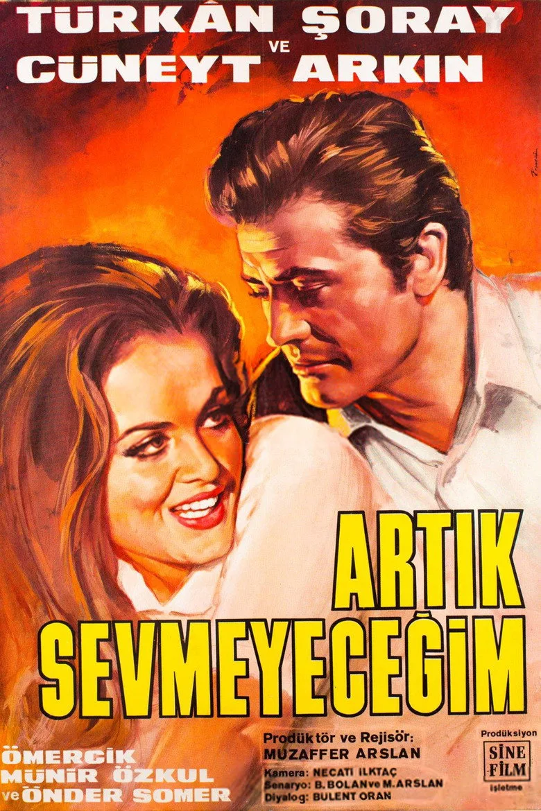 Artık Sevmeyeceğim posteri