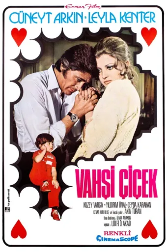 Постер Vahşi Çiçek