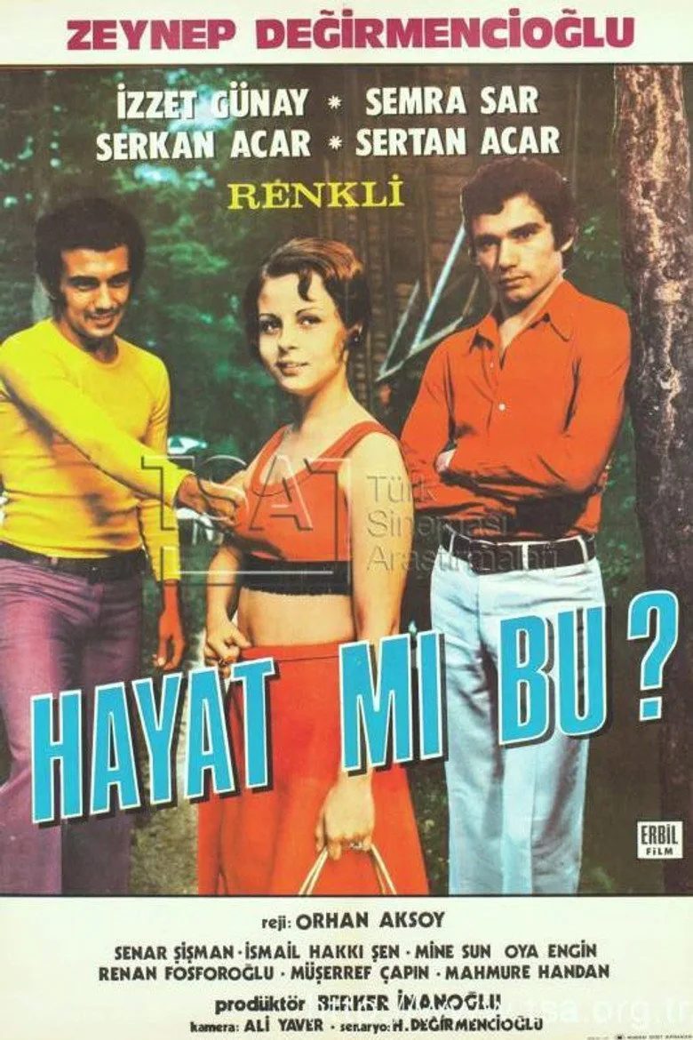 Hayat Mı Bu posteri