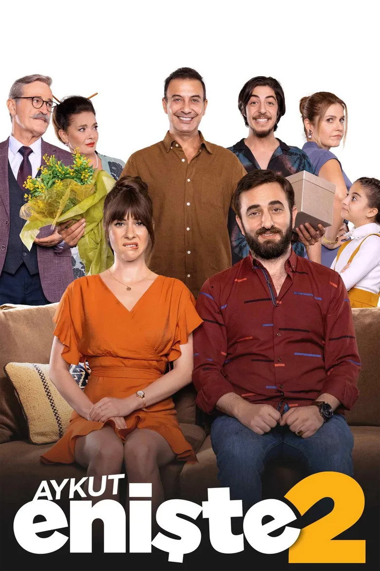 Aykut Enişte 2 poster