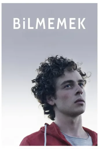 Póster de Bilmemek