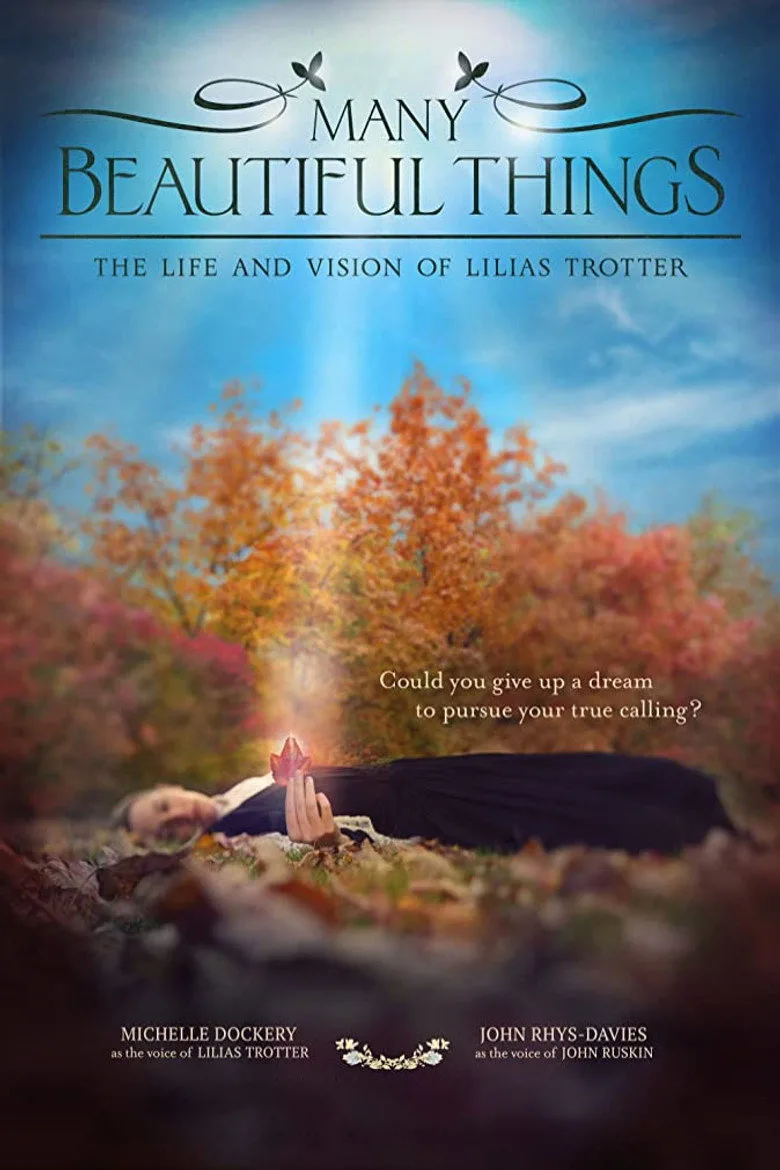 Many Beautiful Things posteri