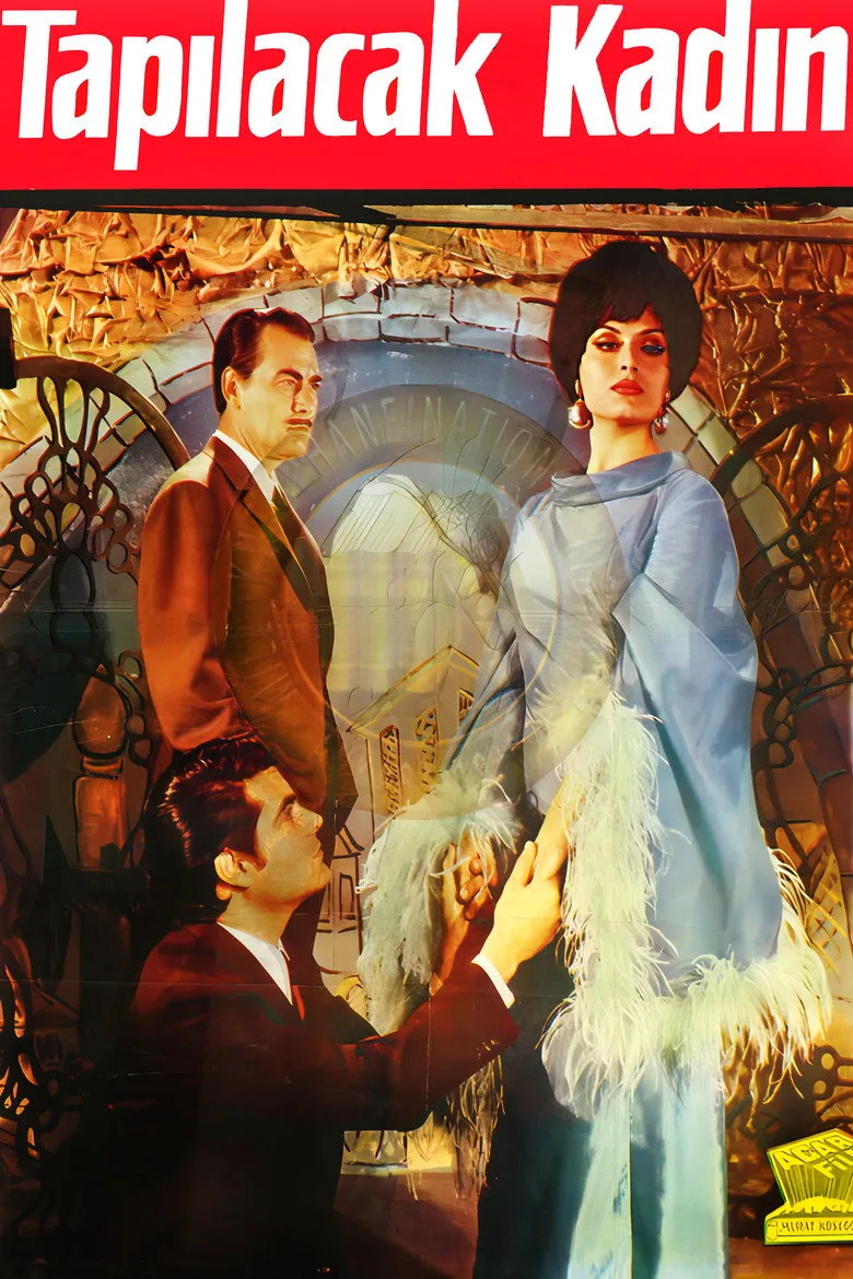 Tapılacak Kadın posteri