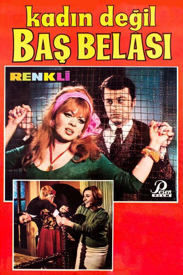 Kadın Değil Baş Belası posteri