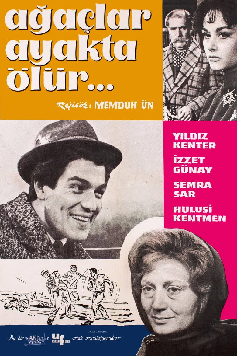 Ağaçlar Ayakta Ölür posteri