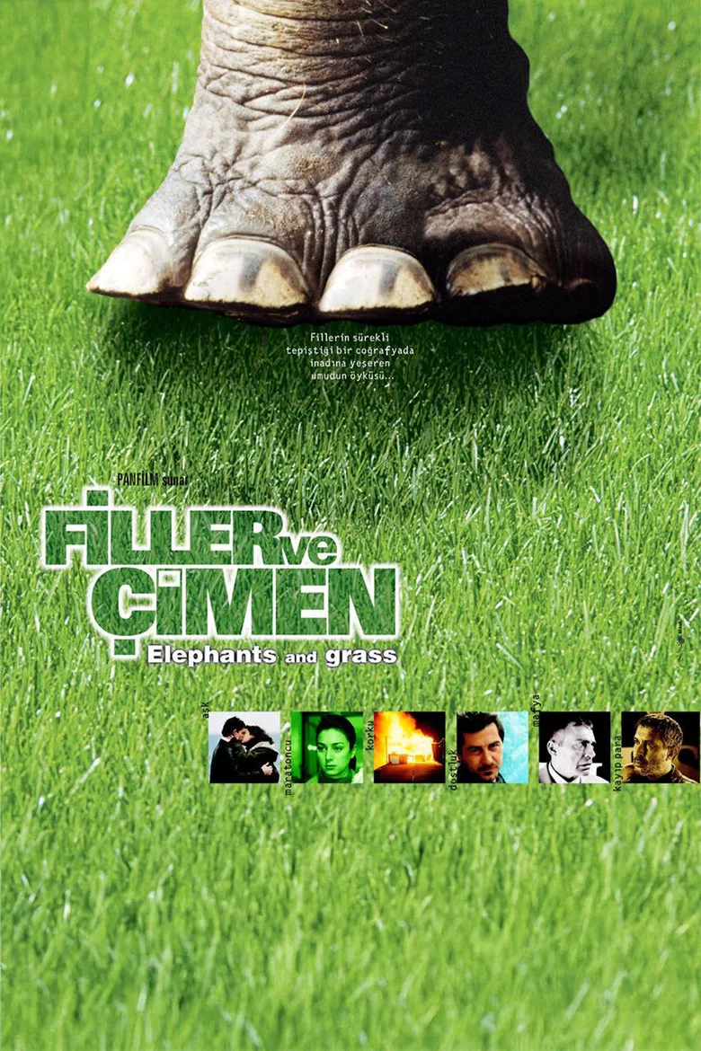 Filler ve Çimen posteri