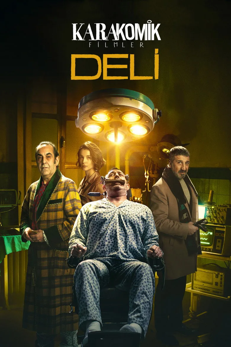 Karakomik Filmler 2: Deli posteri