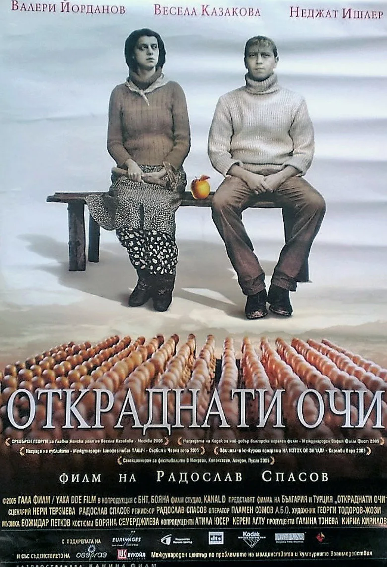 Çalıntı Gözler posteri