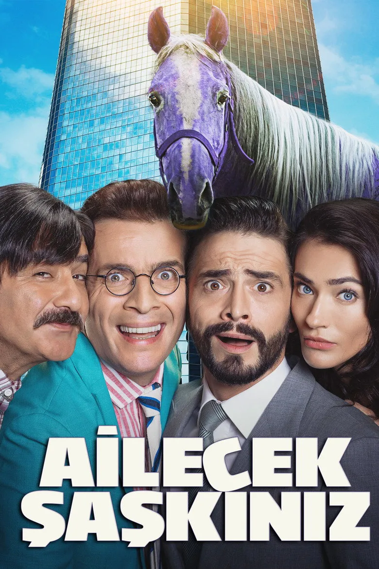 Ailecek Şaşkınız posteri