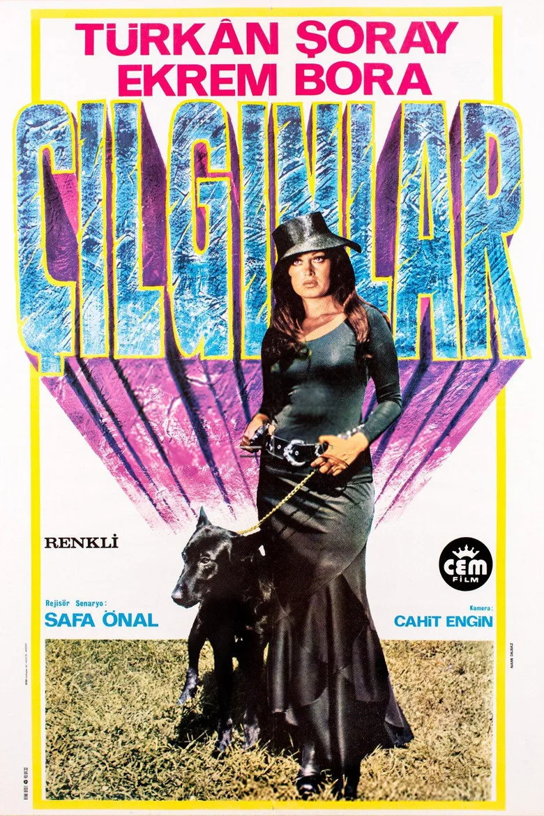 Çılgınlar posteri