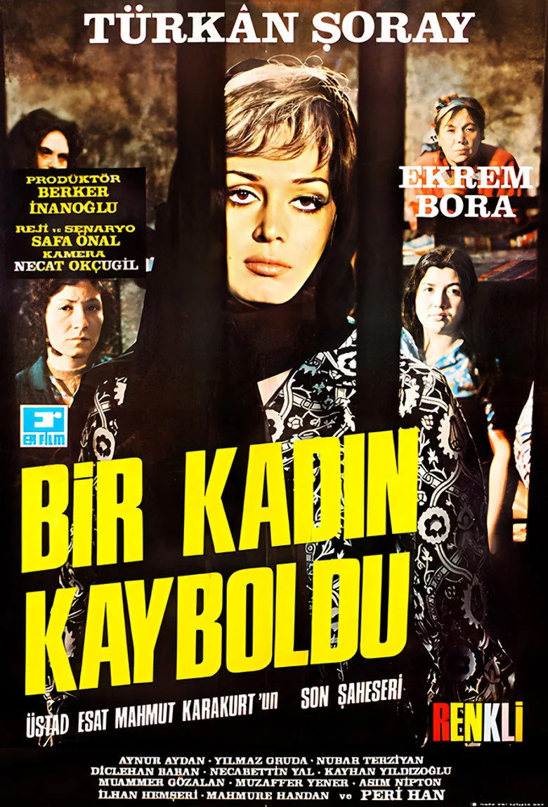 Bir Kadın Kayboldu posteri
