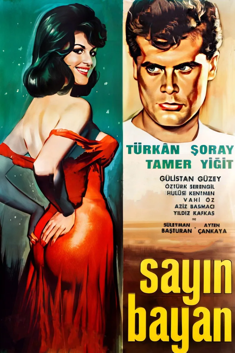 Sayın Bayan posteri