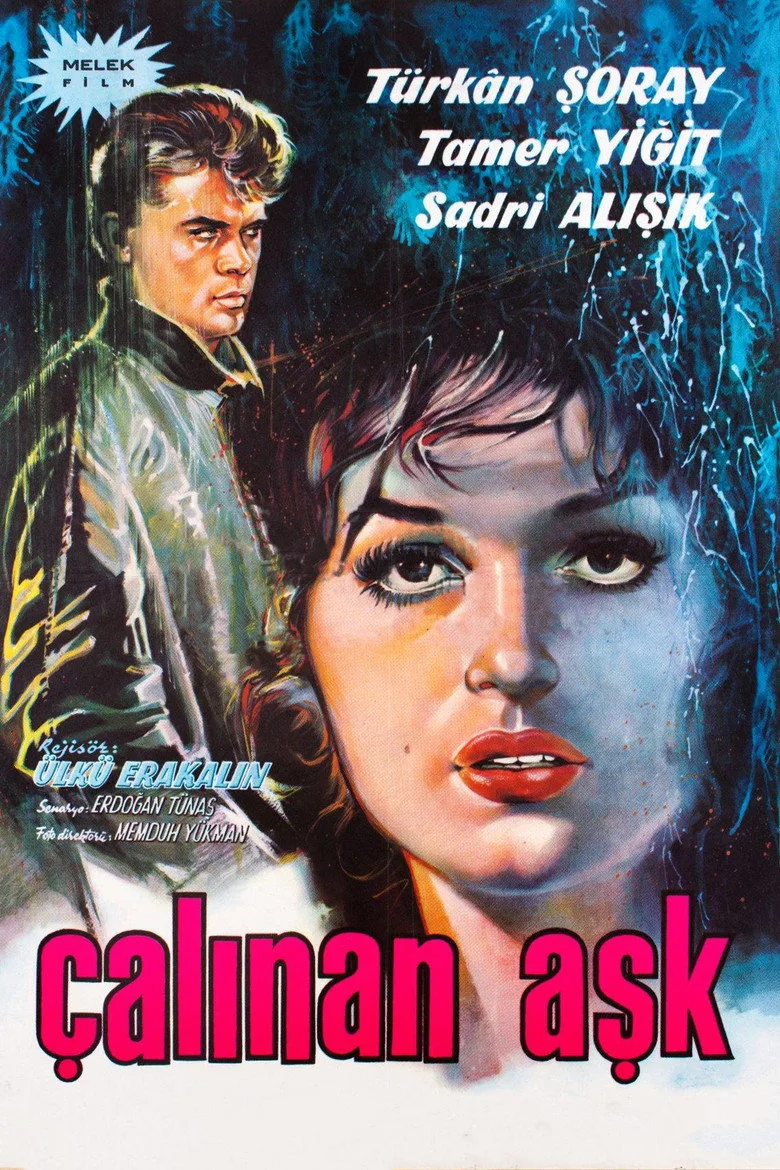 Çalınan Aşk posteri