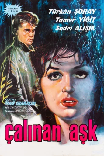 Постер Çalınan Aşk