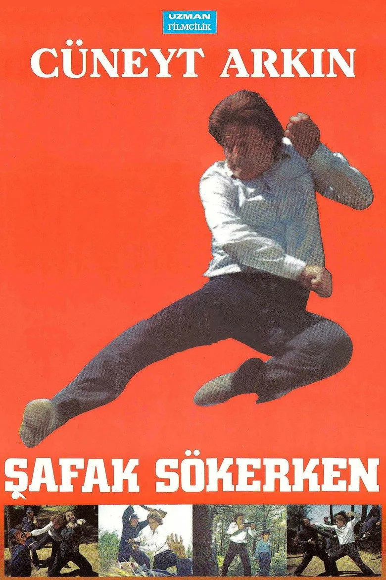 Şafak Sökerken posteri