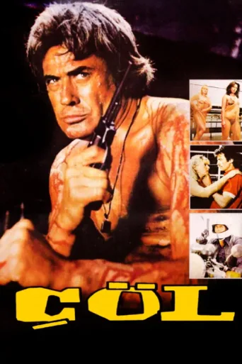 Poster for Çöl