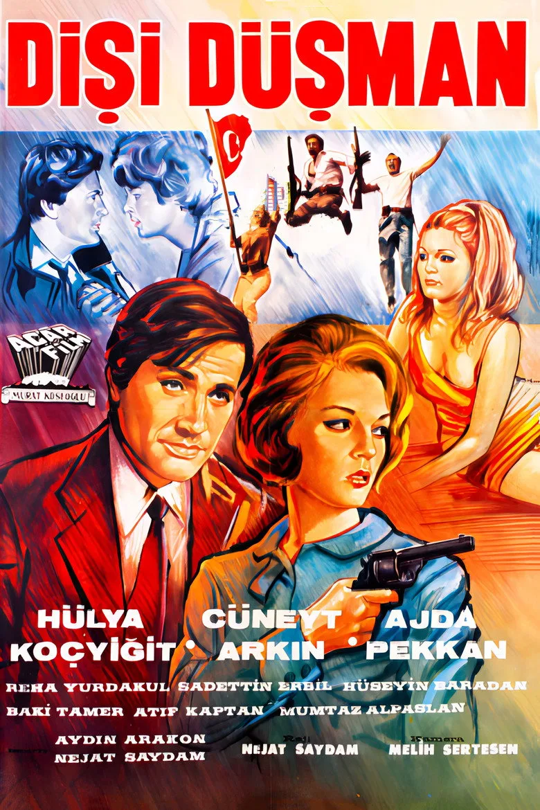 Dişi Düşman posteri